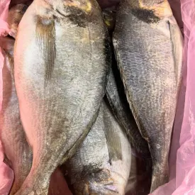 Дорадо (свежемороженная) крупная